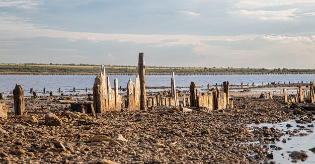 Un lago muerto y viejos troncos de sal asoman fuera del agua