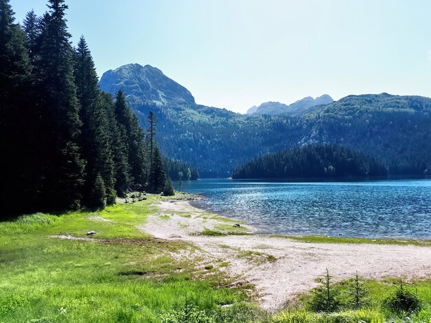 Lago negro en montenegro