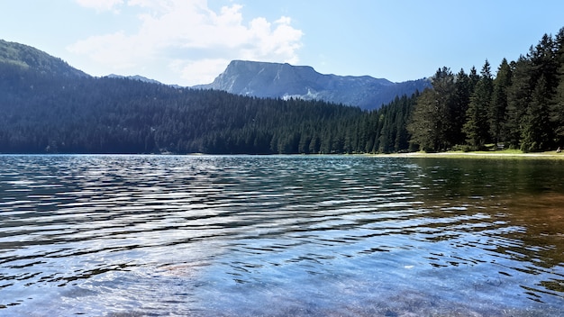 Foto gratuita lago negro en montenegro