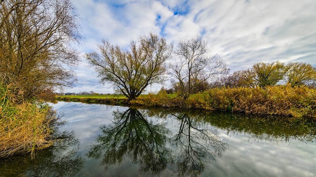 Foto gratuita lago con un reflejo de árboles durante un día nublado