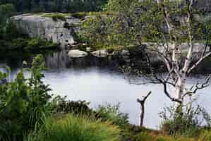 Foto gratuita un lago con el reflejo de los árboles rodeado de formaciones rocosas en preikestolen, noruega