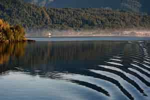 Foto gratuita lago con reflejo y bosque.