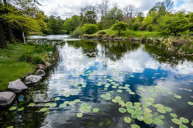 Lago con el reflejo de las nubes en un parque rodeado por muchos árboles verdes