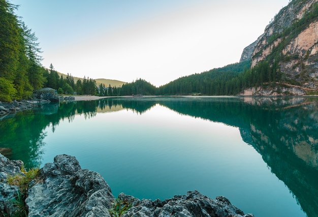 Lago rodeado de arboles