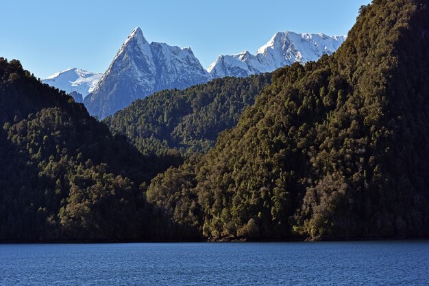 Lago rodeado de bosques y montañas rocosas cubiertas de nieve.