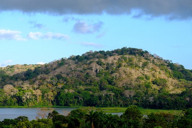 Foto gratuita lago rodeado de colinas cubiertas de bosques bajo un cielo nublado y la luz del sol durante el día