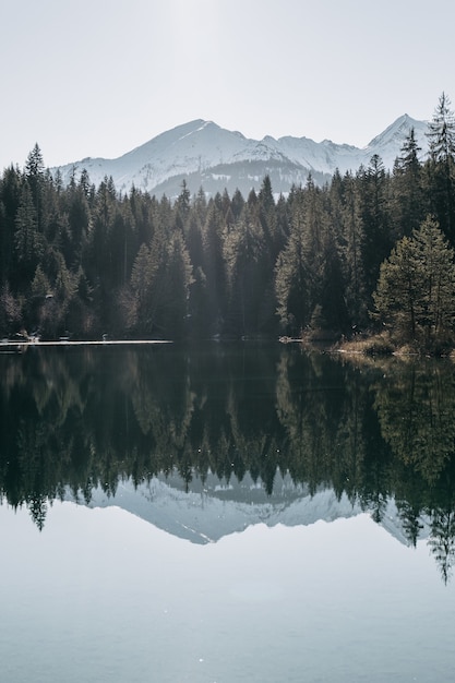 Lago rodeado de montañas y bosques con árboles que se reflejan en el agua