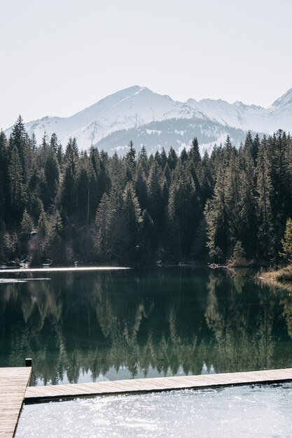 Lago rodeado de montañas y bosques con árboles que se reflejan en el agua