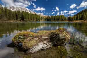 Foto gratuita lago rodeado de rocas y bosques con árboles que se reflejan en el agua bajo la luz del sol en italia