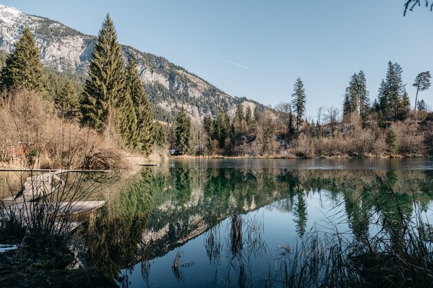 Lago rodeado de rocas y bosques con árboles que se reflejan en el agua bajo la luz del sol