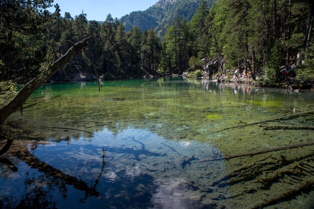 Un lago verde en la montaña.