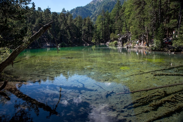 Un lago verde en la montaña.