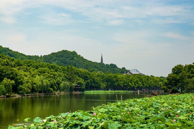 Lago verde