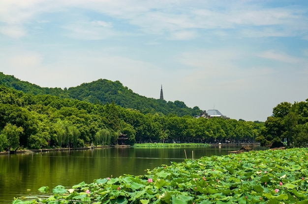 Lago verde