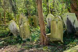 Foto gratuita lápidas en el cementerio de nunhead de londres en inglaterra durante el día