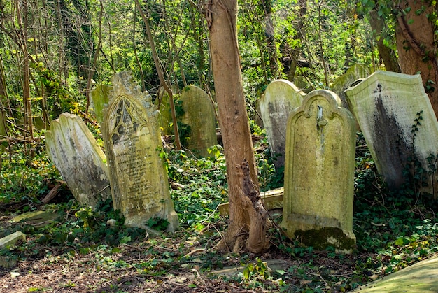 Lápidas en el cementerio de Nunhead de Londres en Inglaterra durante el día