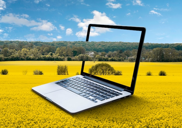 Laptop en concepto de naturaleza
