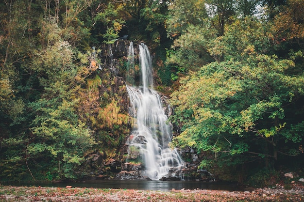 Larga exposición de una cascada en un bosque colorido