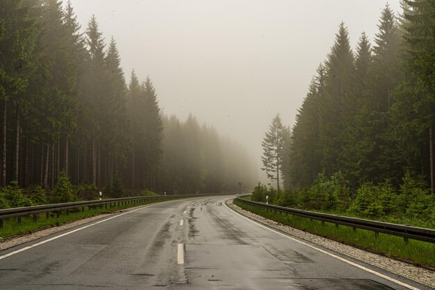 Largo camino que atraviesa bosques brumosos