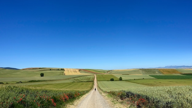 Foto gratuita largo camino de tierra que conduce a la finca rural en un día claro y soleado