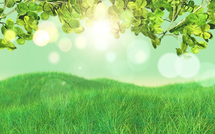 Photo Gratis latar belakang rumput dan daun