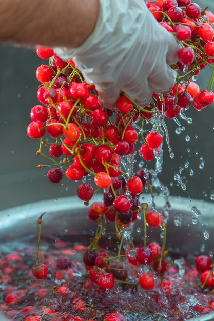 Lavar las bayas de cereza roja en el agua