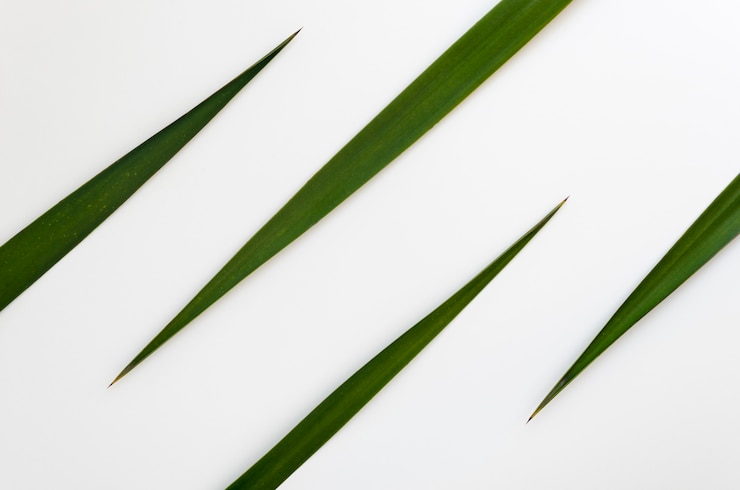 Foto gratuito lay flat de concepto de hojas verdes