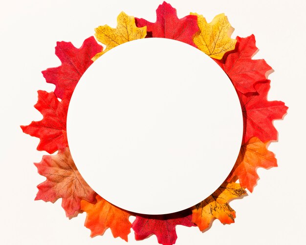 Lay Flat de diferentes hojas de otoño con círculo de papel