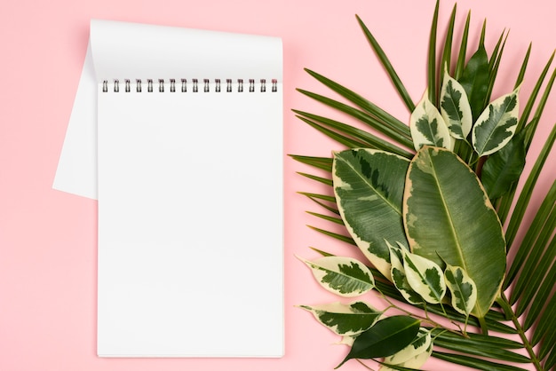 Lay Flat de diferentes hojas de plantas con cuaderno