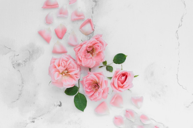 Lay Flat de rosas de primavera con pétalos y fondo de mármol