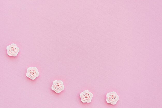 Lay Flat de rosas rosadas de primavera con espacio de copia
