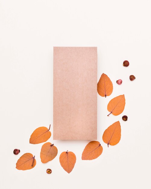 Lay Flat de variedad de hojas de otoño con papel