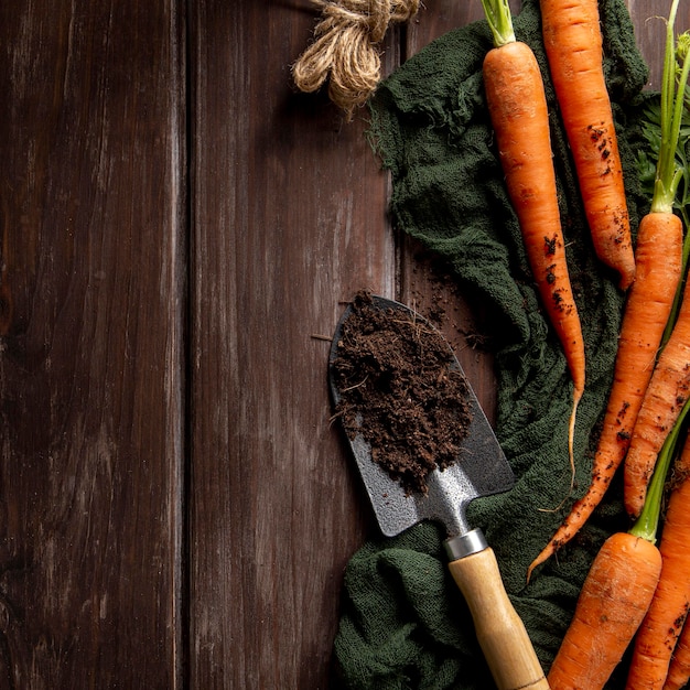 Lay Flat de zanahorias con herramienta de jardín