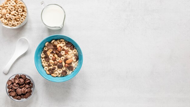 Leche y cereales con espacio de copia