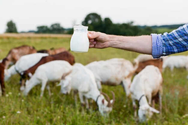 Leche de primer plano de cabras