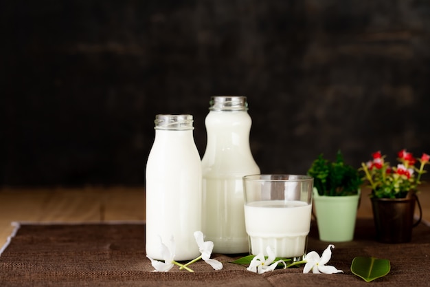 leche productos lácteos saludables en la mesa