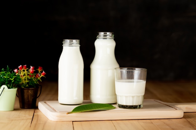 leche productos lácteos saludables en la mesa