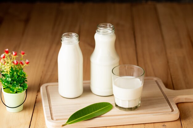 leche productos lácteos saludables en la mesa