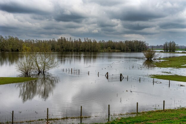 El lecho del río Waal en invierno en un día nublado