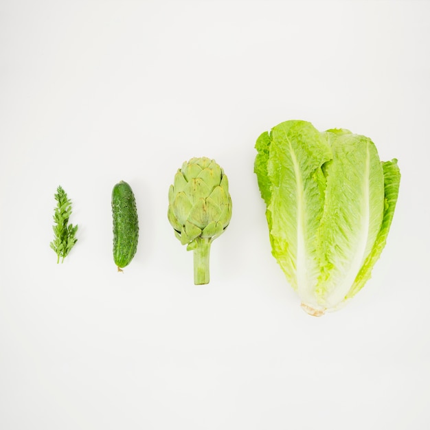 Lechuga, alcachofa, pepino y perejil