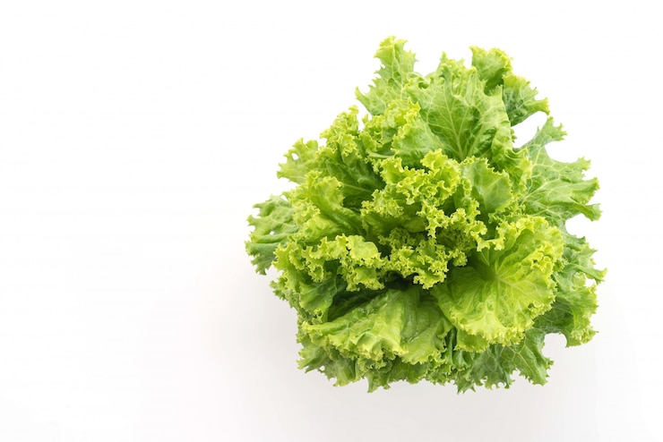Foto gratuito lechuga fresca