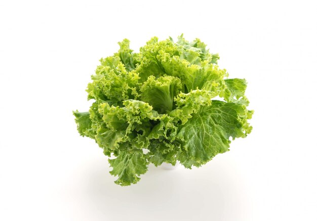 Lechuga fresca