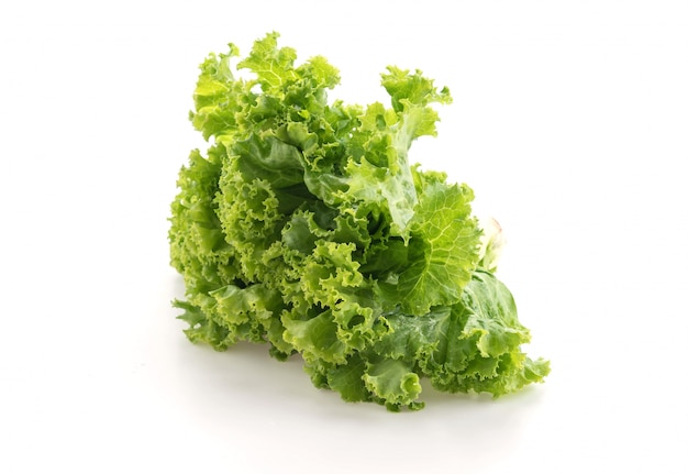 Lechuga fresca