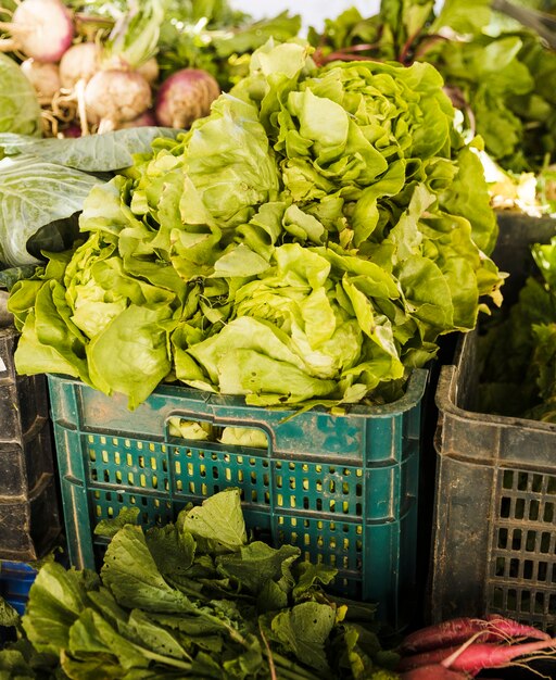 Lechuga mantecosa verde a la venta en el mercado de verduras