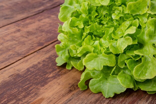 Lechuga que se coloca sobre un piso de madera marrón.