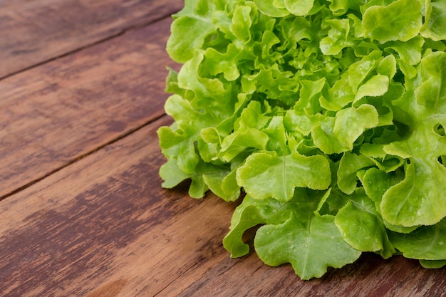 Lechuga que se coloca sobre un piso de madera marrón.