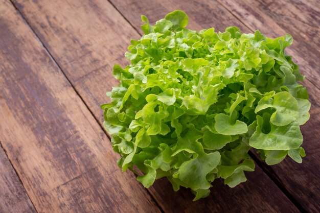 Lechuga que se coloca sobre un piso de madera marrón.