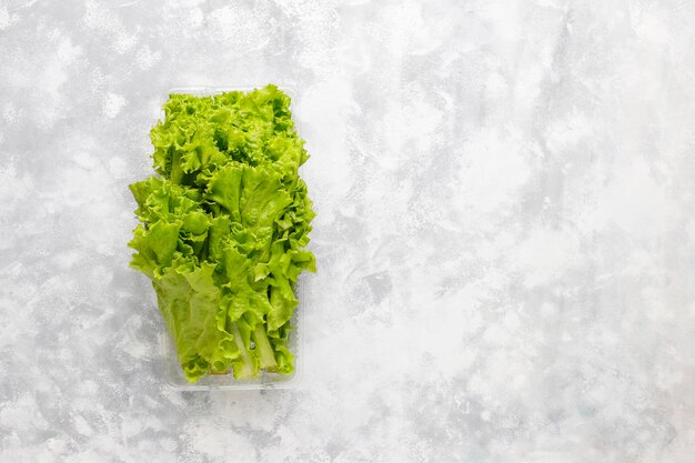 Lechuga verde fresca en cajas de plástico sobre hormigón gris