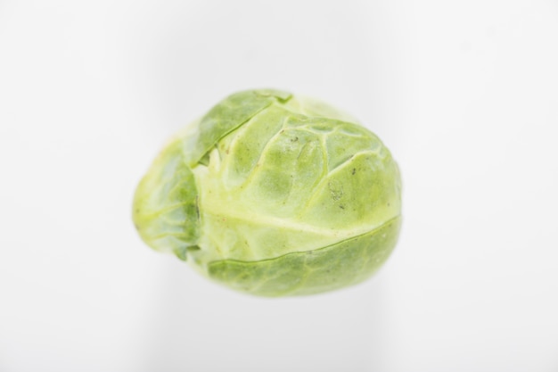 Lechuga