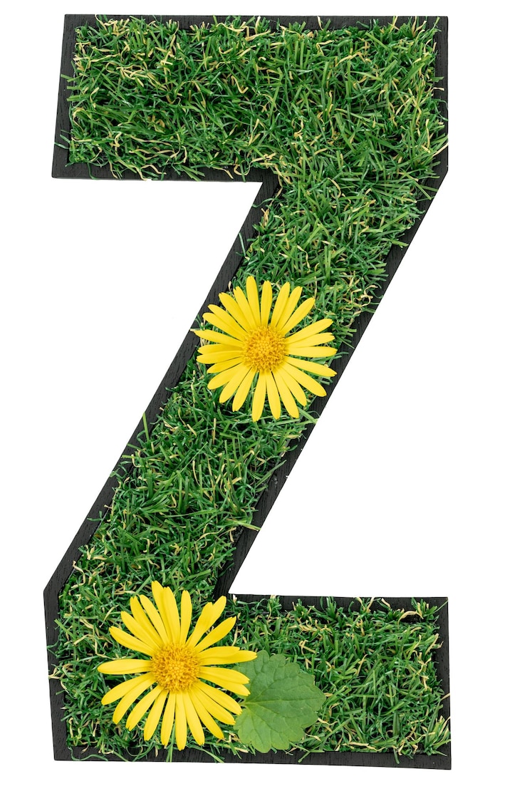 Foto gratuito letra b hecha de hierba verde con flores aisladas en blanco